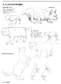 How to Draw Animals Painted by Veterinarian (by Mari Suzuki) (2019)