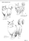 How to Draw Animals Painted by Veterinarian (by Mari Suzuki) (2019)