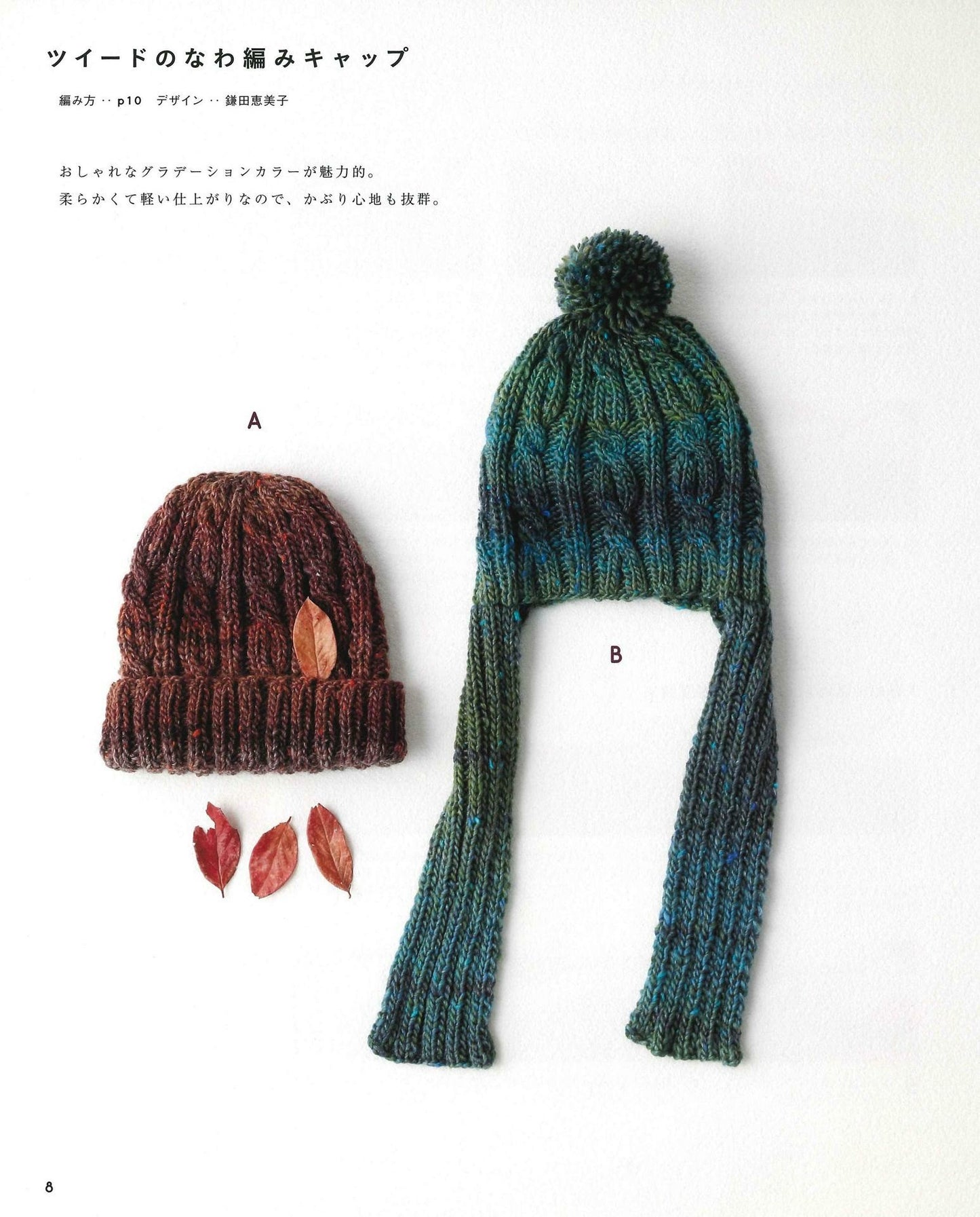 Easy in 3 Days! Crochet and Knitting Alan & Braided Hat (Applemints)