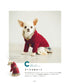 Hand-Knitted Clothes for Cute Dogs