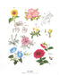 Best Selection! Request Version Flower & Botanical Stitch Embroidery 580