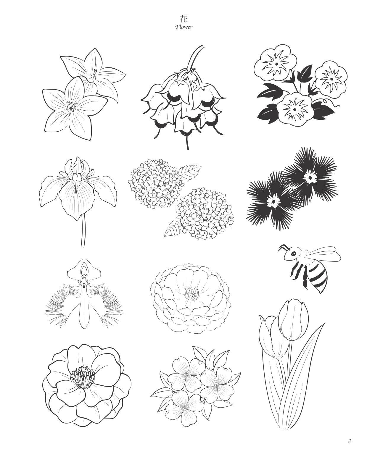 Botanical Design Collection of Flowers and Forests