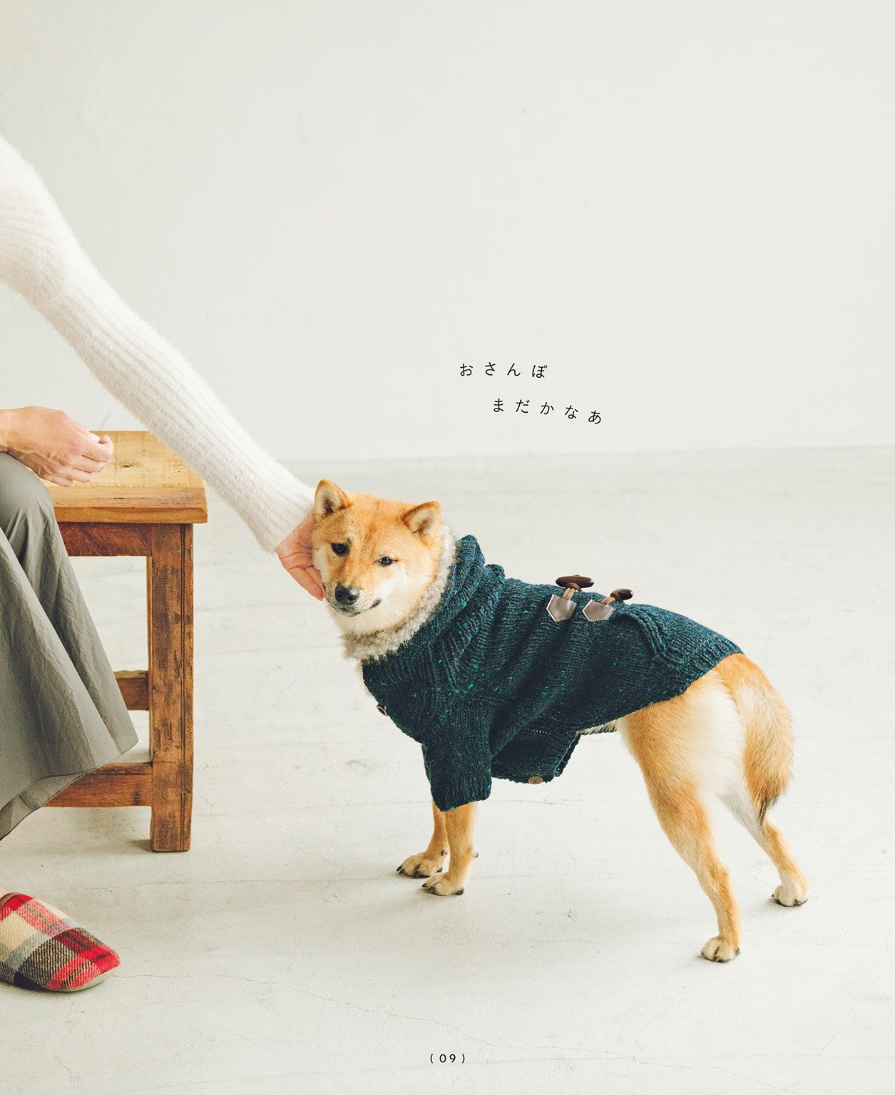 Hand-Knitted Clothes for Cute Dogs