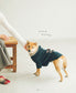 Hand-Knitted Clothes for Cute Dogs