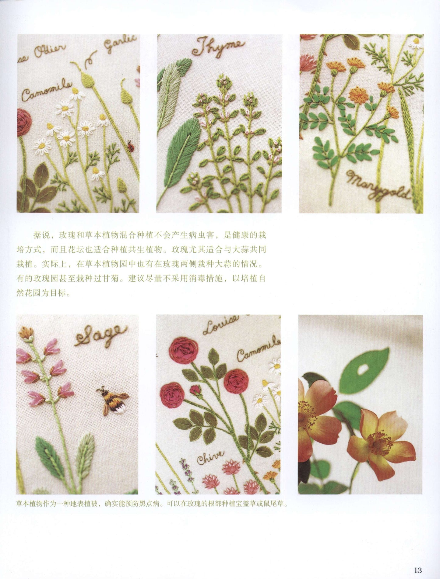 Kazuko Aoki's Beautiful Embroidery - Roses Roses from My Garden (2012) (Chinese)