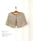 Crochet Best Selection Scandinavian Style Cape Vest Poncho