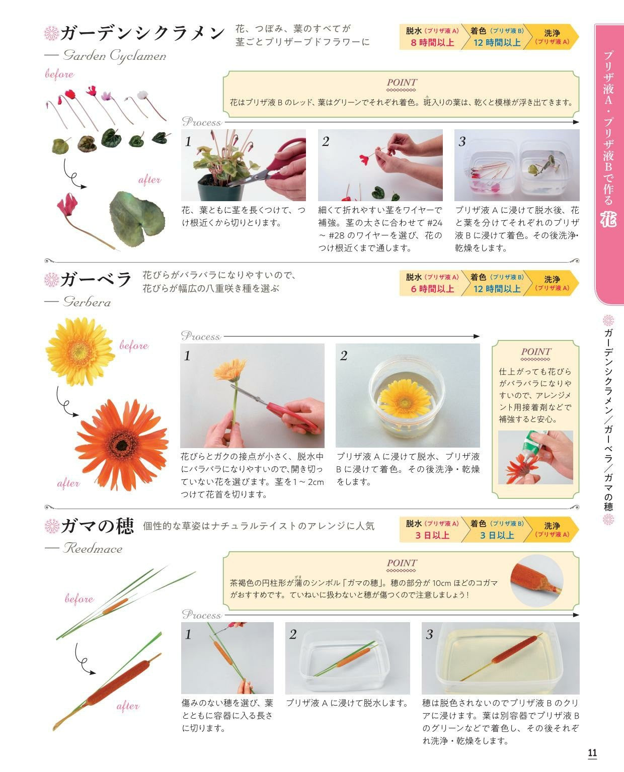 Preserved Flower Book