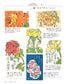 Popular Picture Letter Example 500-Flowers, Vegetables, Fruits, Animals, Saijiki