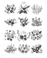 Botanical Design Collection of Flowers and Forests