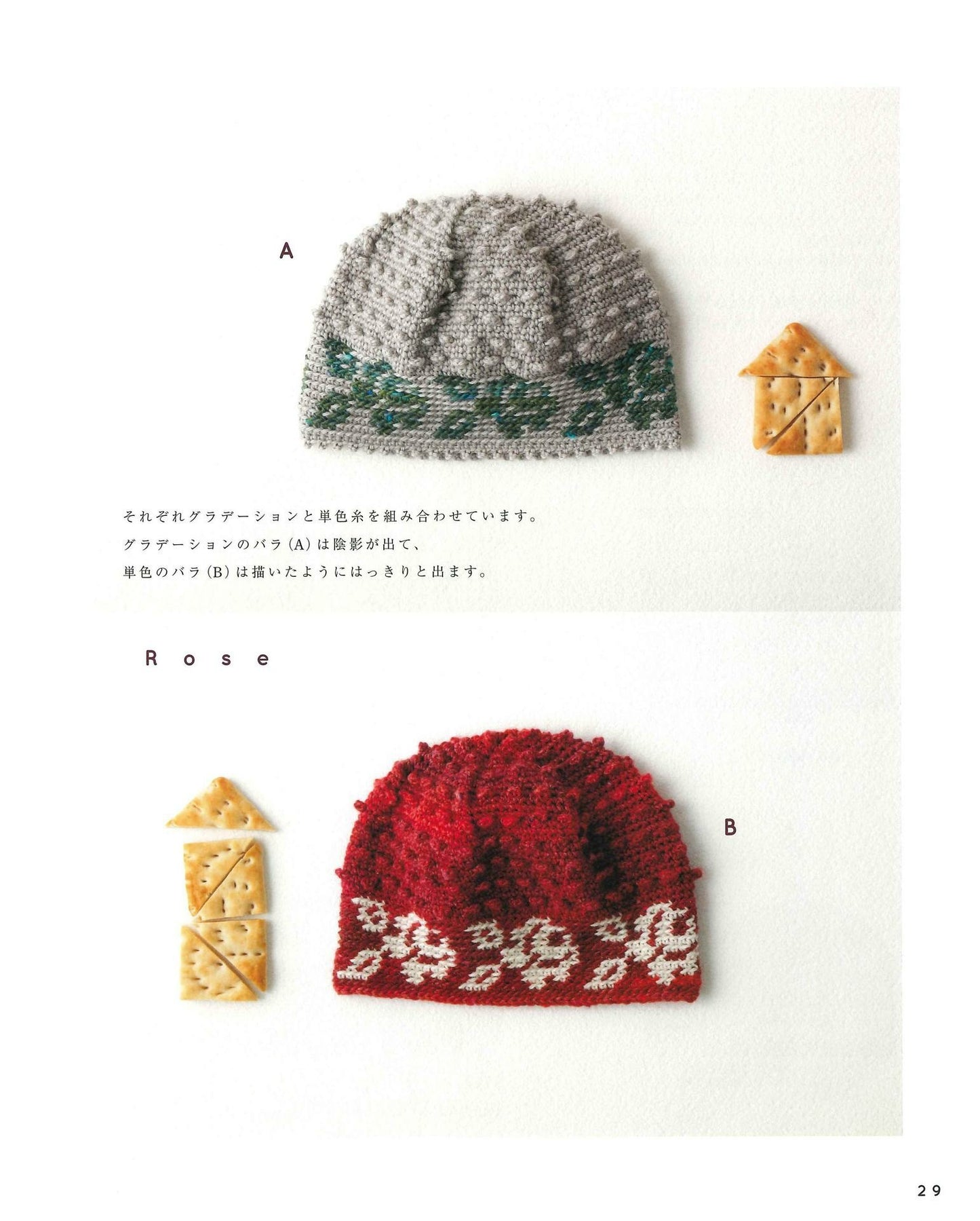 Easy in 3 Days! Crochet and Knitting Alan & Braided Hat (Applemints)