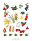 First Embroidery One Point Cross Stitch Pattern 500 + 100