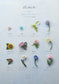 Beads of Flowers that Colours the Four Seasons (2023)