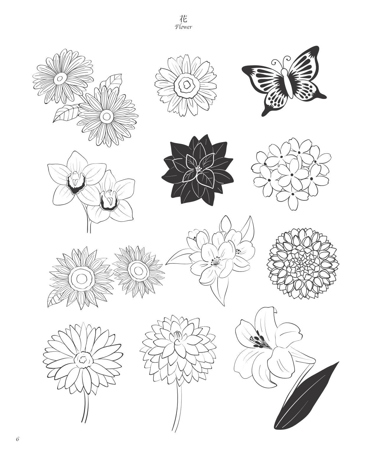 Botanical Design Collection of Flowers and Forests