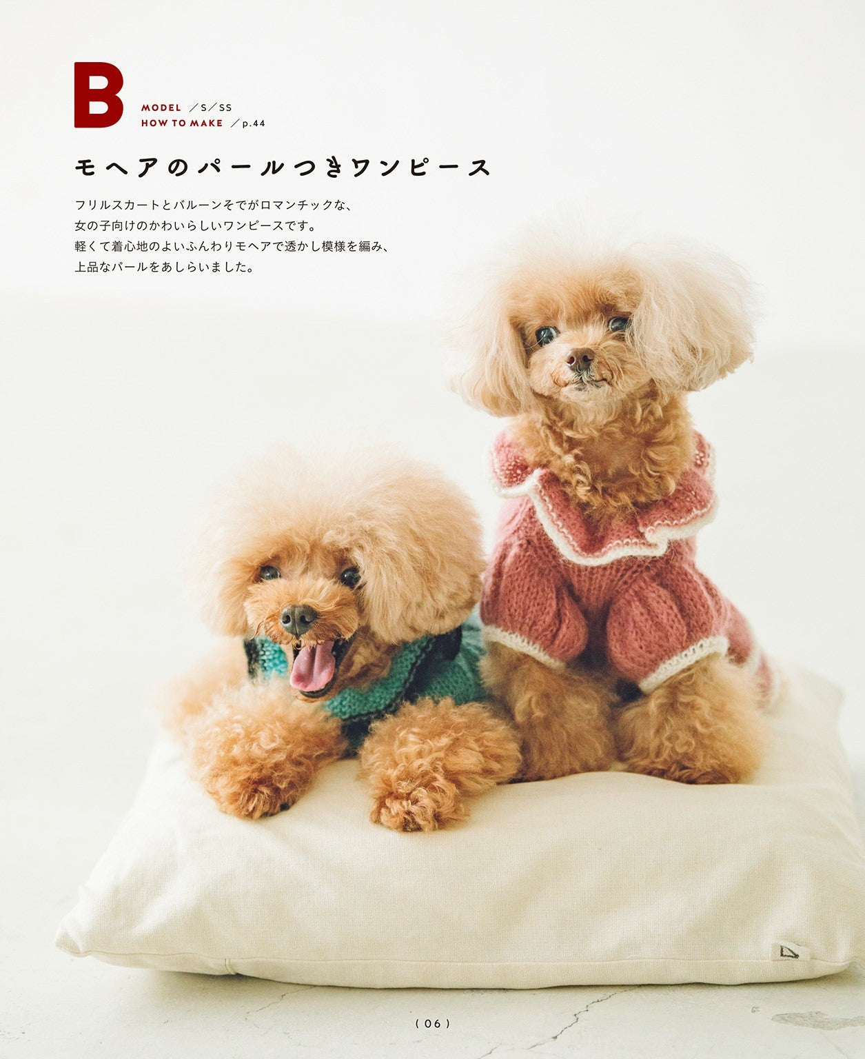 Hand-Knitted Clothes for Cute Dogs