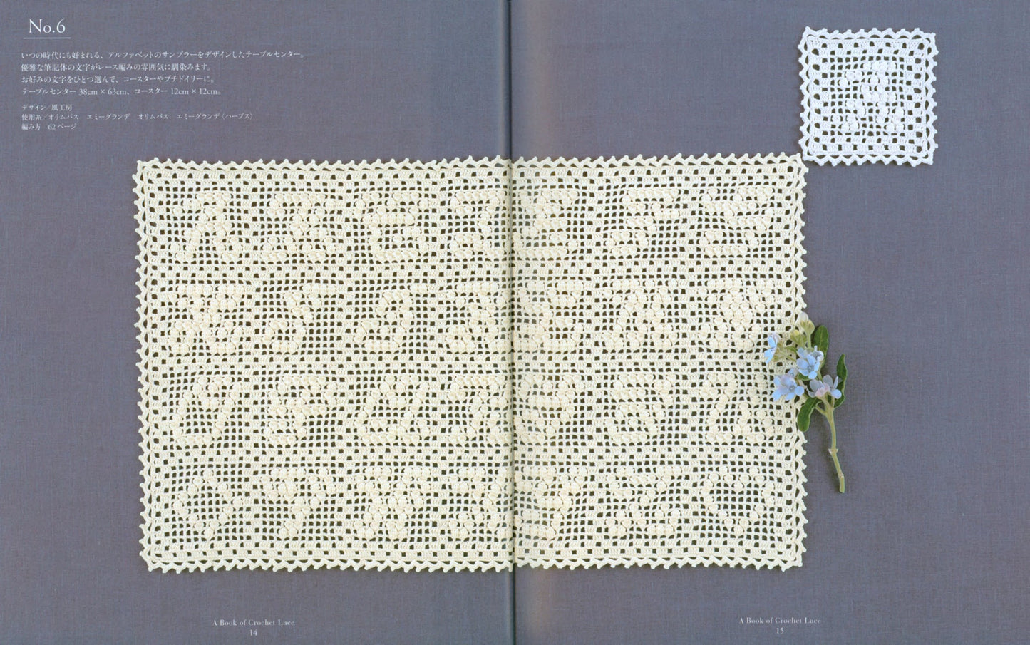 Elegant Lace Knitting - A Book of Crochet Lace